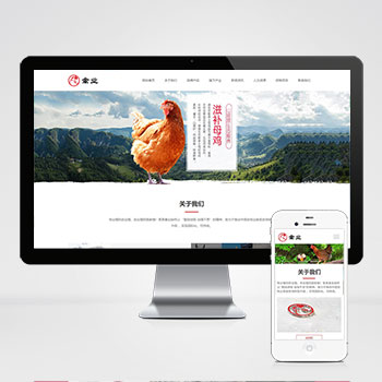 (����Ӧ�ֻ���)����������������վģ�� ��Ӧʽ��ֳ��ҵ��վģ��